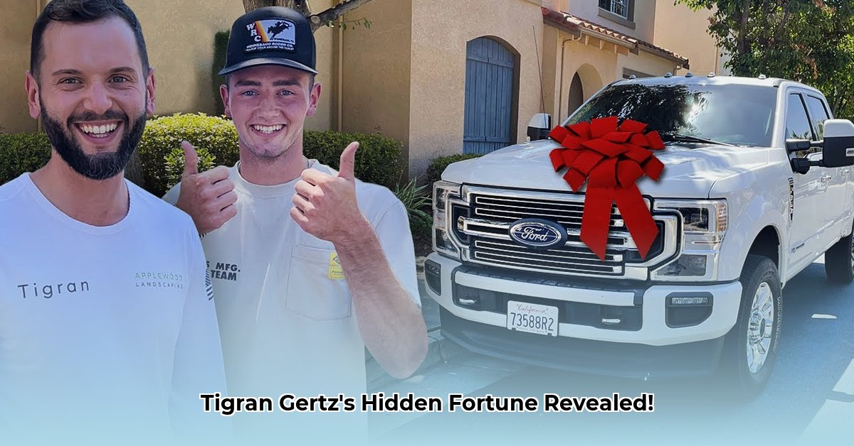 tigran-gertz-net-worth